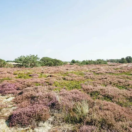 Casa vacanze 4 Person In Fan By Traum